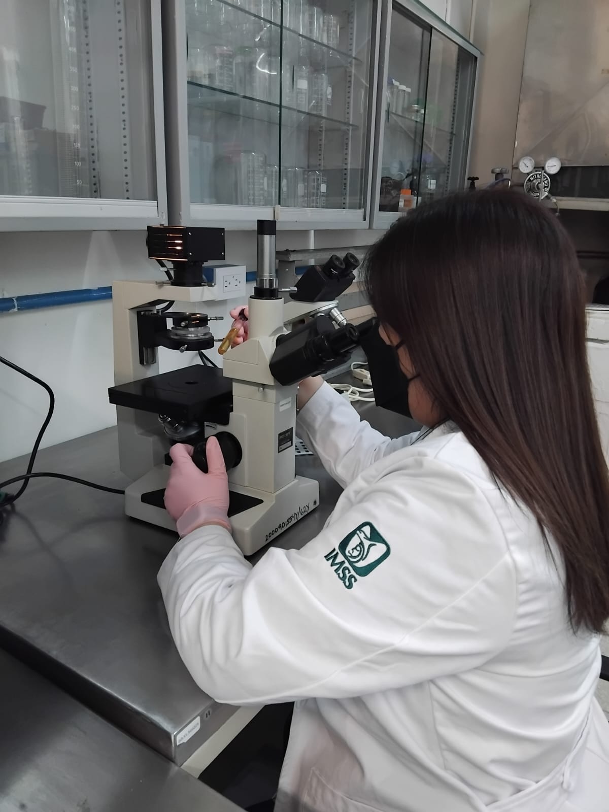 Momento del laboratorio de Parasitología y Farmacognosia 1
